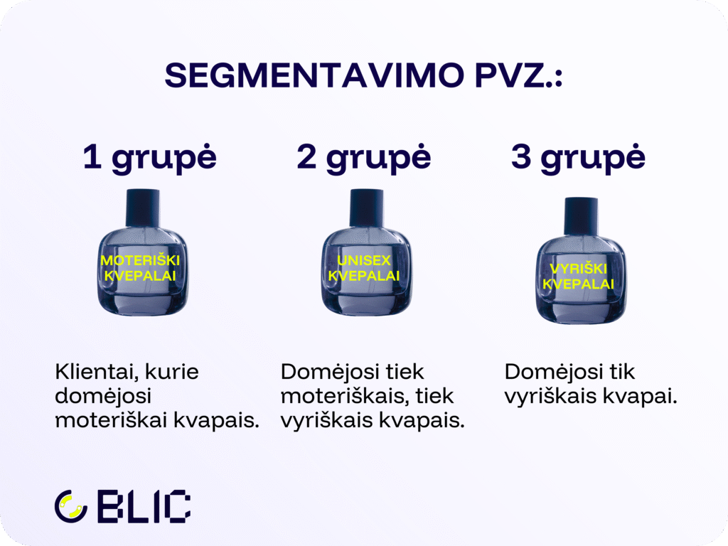 Naujienlaiškių segmentavimo pavyzdžiai